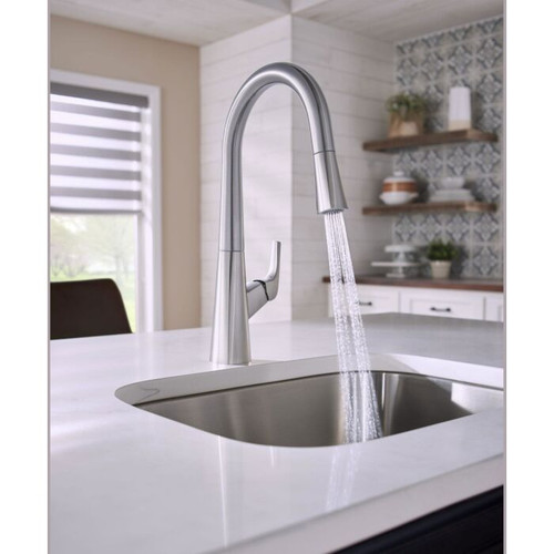 Danze Parma Kitchen Faucets