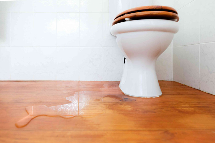 How to Diagnose an American Standard Toilet Leaking Problem Home