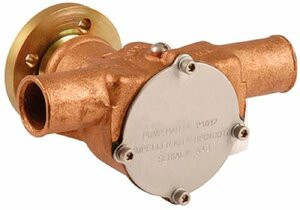 Sherwood Pumps