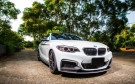 Twenty Two Tuning BMW 2 Series (F22/F23) M Performance Style Carbon Fibre Front Lip Spoiler Twenty Two Tuning BMW 2 Series (F22/F23) M Performance Style Carbon Fibre Front Lip Spoiler