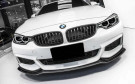 Twenty Two Tuning BMW 4 Series (F32/F33/F36) END.CC Style Carbon Fibre Front Lip Spoiler