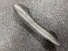 Twenty Two Tuning BMW 6 Series/M6 (F06/F12/F13) OEM+ Carbon Fibre Door Handle Covers Twenty Two Tuning BMW 6 Series/M6 (F06/F12/F13) OEM+ Carbon Fibre Door Handle Covers