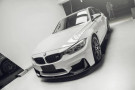 Twenty Two Tuning BMW M3/M4 PSM Style Carbon Fibre Side Skirts (F80/F82/F83) Twenty Two Tuning BMW M3/M4 PSM Style Carbon Fibre Side Skirts (F80/F82/F83)