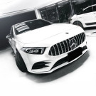 Twenty Two Tuning Mercedes Benz A-Class/A35 (V177/W177) Panamericana/GT Front Grille