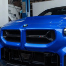 Euro Auto Design CSL Style Carbon Fiber Grill - G87 M2