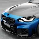 Euro Auto Design - Euro Auto Style V2 Carbon Fiber Grill - G87 M2