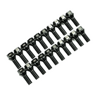 Canadian Auto Performance Titanium Wheel Bolts | Audi (Set of 20)