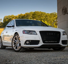 Canadian Auto Performance 2009-2012 Audi RS4 Honeycomb Grille Quattro | B8 Audi A4/S4 Canadian Auto Performance 2009-2012 Audi RS4 Honeycomb Grille Quattro | B8 Audi A4/S4