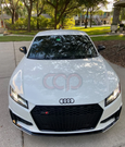 Canadian Auto Performance 2016-2024 Audi TTRS Honeycomb Grille | MK3 8S TT/TTS - V2 - CAP-G-220