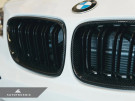 AutoTecknic Dual-Slats Carbon Fiber Front Grille Set - F87 M2 | F22 2-Series   ATK-BM-0172-DS-CF AutoTecknic Dual-Slats Carbon Fiber Front Grille Set - F87 M2 | F22 2-Series   ATK-BM-0172-DS-CF