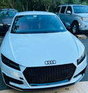 Canadian Auto Performance 2016-2024 Audi TTRS Honeycomb Grille Lower Frame Quattro | MK3 8S TT/TTS - V1 - CAP-G-219