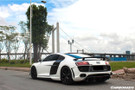 Carbonado 2009-2015 Audi R8 Coupe Spyder OE Style Carbon Fiber Side Blades