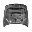 Ark Performance 2018-2023 Kia Stinger S-FX Carbon Fiber Hood SFFH-0811C