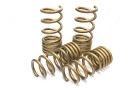 Ark Performance 2023+ Nissan Z GT-S Lowering Springs LS0902-0123