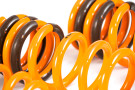 Ark Performance 2008-2013 Infiniti G37 Coupe RWD GT-F Lowering Springs LF1102-0103