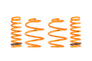 Ark Performance 2011-2013 Kia Optima GT-F Lowering Springs LF0802-0011