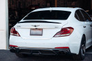 Ark Performance 2019-2021 Genesis G70 Carbon Fiber Rear Spoiler D-Style CF16-LIPSD