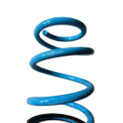 BLOX Racing Lowering Springs - 23+ Civic Type-R / 23+ Integra Type-S bloBXSS-01007-R