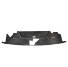 APR Performance Ford Mustang S650 Carbon Fiber Cooling Plate 2024 - Current CF-202402