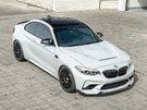 RW Carbon BMW F87 M2 F22 F23 GTS Style Aluminum Hood - bmwf8734