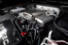 Weistec Engineering M177 LS2 Intercooler Reservoir Heat Shield - Stainless Steel