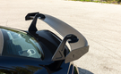 Alpha-N Corse Swan Neck Rear Wing  AN-0751