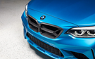 Alpha-N F87 M2 Competition / CS Carbon Corse Front Grille AN-0761