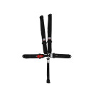Simpson Racing 1B33NIKX 5-Point Harness Latch/Link - SFI 16.1 - 3-Inch - Black 1B33NIKX
