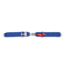 Simpson Racing Latch and Link Lap Bolt-In 5-Point Pull-Down Harness - Blue 29063BLH