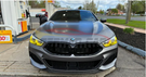 German Car Accessories 2019-2022 BMW 8-Series/M8 Kidney Grilles F91/F92/F93/G14/G15/G16