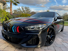 German Car Accessories 2019-2022 BMW 8-Series/M8 Kidney Grilles F91/F92/F93/G14/G15/G16