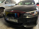 German Car Accessories 2014-2020 BMW 2-Series Kidney Grilles F22/F23