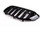 German Car Accessories 2017-2020 BMW 5-Series Kidney Grilles G30