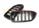 German Car Accessories 2017-2020 BMW 5-Series Kidney Grilles G30