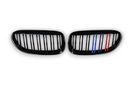 German Car Accessories 2005-2010 BMW 6-Series/M6 Dual Slat Kidney Grilles E63/E64