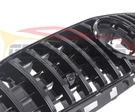 German Car Accessories 2018-2021 Mercedes-Benz AMG GT/GTS/GTC GTR Style Front Grille I C190