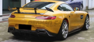 German Car Accessories 2018-2021 Mercedes-Benz AMG GT/GTS/GTC Carbon Fiber Side Skirts | C190