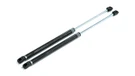 OLM Carbon Fiber Wrapped Hood Struts - 2022+ WRX OLMB.47020.1