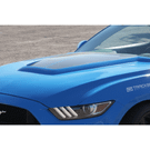 Anderson Composites Type-GR (GT350 Style) Fiberglass Hood For 2015-2017 Ford Mustang : AC-HD15FDMU-GR-GF