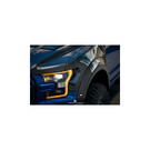 Anderson Composites Type-OE Carbon Fiber Fenders For 2017-2020 Ford Raptor  AC-FF17FDRA