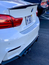 REMUS with Carbon Fiber Tips M4 REMUS with Carbon Fiber Tips M4