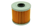 AEM High Volume Fuel Filter Replacement Element for 25-200BK (AEM-25203) AEM High Volume Fuel Filter Replacement Element for 25-200BK (AEM-25203)