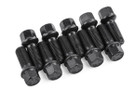 APR LUG BOLTS (SET OF 10)