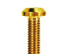ZSPEC Design Gold Grade-5 Titanium Dress-Up Bolts Fastener Kit Tesla Model 3 2017+ ZSPEC Design Gold Grade-5 Titanium Dress-Up Bolts Fastener Kit Tesla Model 3 2017+