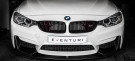 Eventuri BMW F8X M3 / M4 Black Carbon Air Scoop Set - EVE-F8XM-CF-SC Eventuri BMW F8X M3 / M4 Black Carbon Air Scoop Set - EVE-F8XM-CF-SC