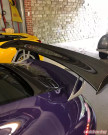 Vorsteiner Porsche 991.1 911 GT3RS Wing Blade (Does Not Include POV1172 End Caps) - POV1171 Vorsteiner Porsche 991.1 911 GT3RS Wing Blade (Does Not Include POV1172 End Caps) - POV1171
