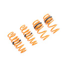 Megan Racing Tesla Model 3 AWD 17+ (EXC RWD) Lowering Springs - MR-LS-TSL317X Megan Racing Tesla Model 3 AWD 17+ (EXC RWD) Lowering Springs - MR-LS-TSL317X