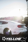Dynamic Pro Sport Coilovers - Ford Mustang 2015-2023 (S550) YS01-FD-DPS016 Dynamic Pro Sport Coilovers - Ford Mustang 2015-2023 (S550) YS01-FD-DPS016