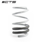 CTS TURBO B8/B8.5 AUDI A4/S4 LOWERING SPRING SET - CTS-LS-012 CTS TURBO B8/B8.5 AUDI A4/S4 LOWERING SPRING SET - CTS-LS-012