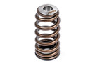 APR VALVE SPRING KIT (1 SET) MS100258 APR VALVE SPRING KIT (1 SET) MS100258